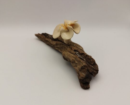 Magnolia - ceramic flower on a small drifted wood